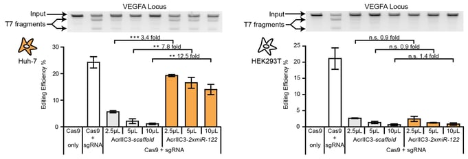 P2_Cell-specific_editing
