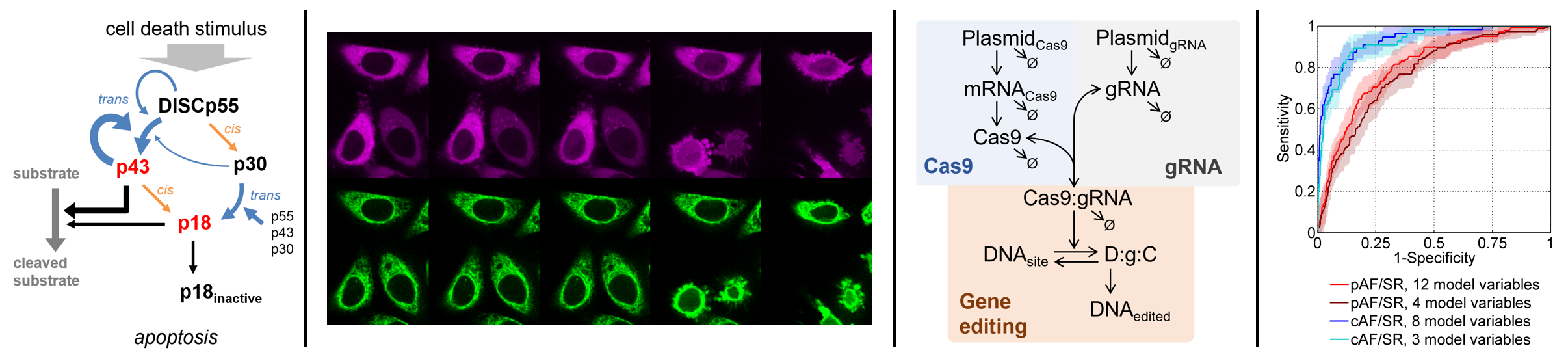 Fig_SysMed_group_research