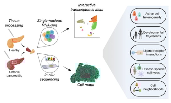 Human Cell Atlas