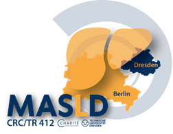 MASLD_logo