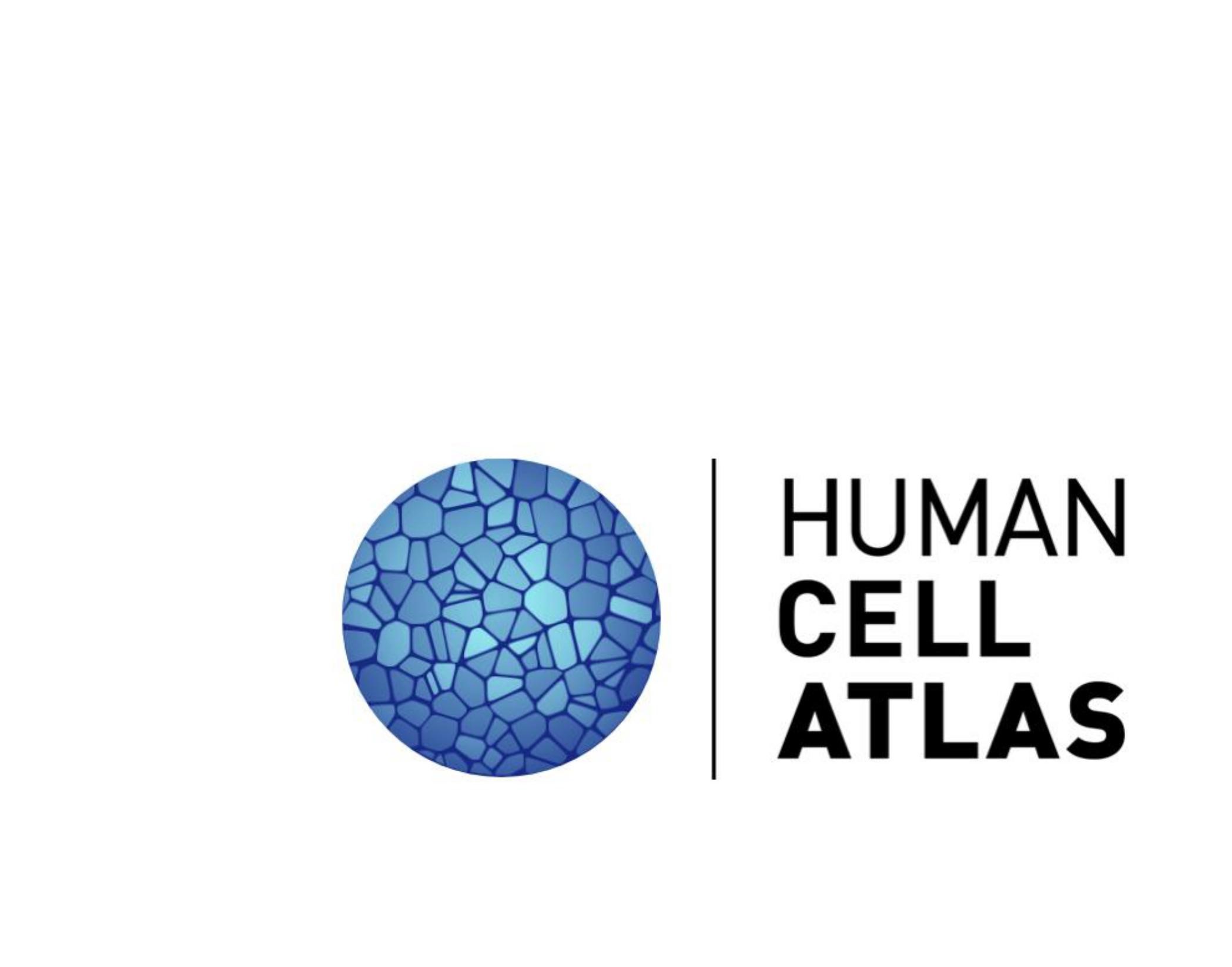 https://www.humancellatlas.org/