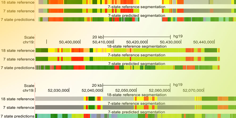 Biomedical-Genomics_1000x500px_200212