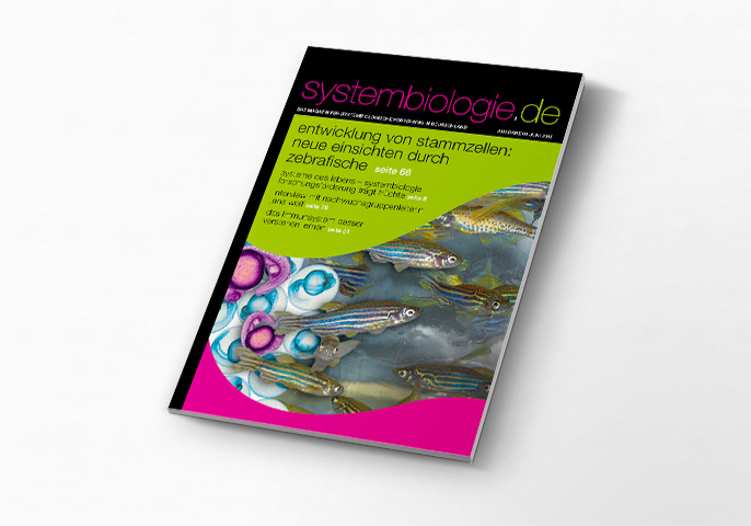 magazin_01